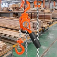 Palan-manual-cu-pârghie-250-kg-lanț-G80-de-3-m