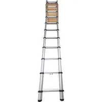 Scară-telescopică-pentru-mansardă-capacitate-160-kg-100-x-60-cm-prelungitor-multifuncțional-din-aluminiu-ușoară-și-portabilă
