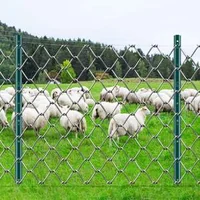 Stâlpi-de-gard-91-cm-10-pachete-stâlpi-metalici-grei-pentru-gard-verzi
