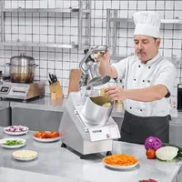 Robot-profesional-de-bucătărie-pentru-legume-6-lame-750W