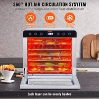 Mașină-de-deshidratare-a-alimentelor-cu-6-tăvi-din-oțel-inoxidabil-700-W-pentru-felii-de-fructe