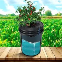 Sistem-DWC-hidroponic-pentru-cultivare-4-recipiente-cu-pompă-de-aer