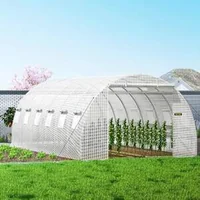 Seră-tunel-pentru-grădină-6-1-x-3-x-2-1-m-structură-galvanizată