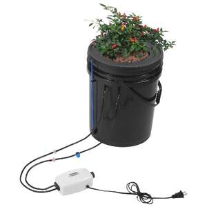 Sistem-hidroponic-DWC-cu-găleată-de-20L-și-irigare-prin-picurare-de-sus