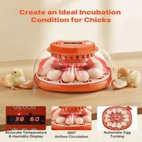 Incubator-automat-pentru-12-ouă-panoramă-360-tester-LED-și-completare-automată-a-apei