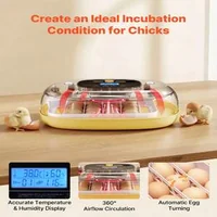 Incubator-automat-pentru-24-de-ouă-panoramă-360-tester-LED-și-completare-automată