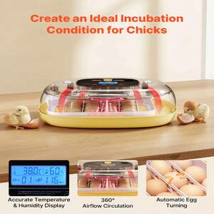 Incubator-automat-pentru-24-de-ouă-panoramă-360-tester-LED-și-completare-automată