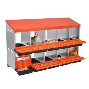 Cuibare-pentru-găini-cu-10-compartimente-pe-2-niveluri-cu-sistem-Roll-out-din-oțel-galvanizat