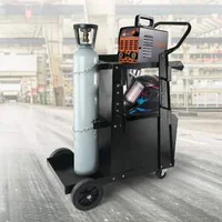 Cărucior-pentru-sudură-cu-2-rafturi-și-dulap-capacitate-de-120-kg