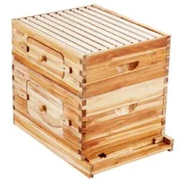 Set-pentru-stup-cu-corpuri-medii-20-de-rame-și-ferestre-din-acril-pentru-observarea-albinelor