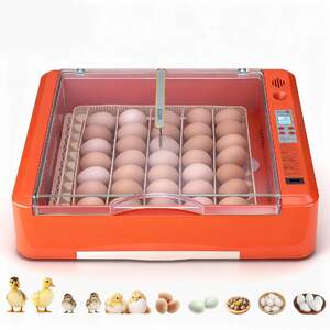 Incubator-automat-pentru-36-de-ouă-vizibilitate-360-și-control-complet