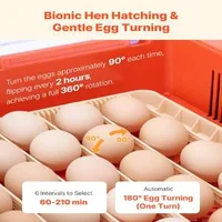 Incubator-automat-pentru-36-de-ouă-vizibilitate-360-și-control-complet