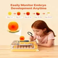 Incubator-automat-pentru-48-de-ouă-control-complet-și-eficiență-ridicată