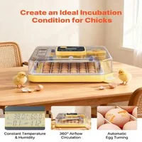 Incubator-automat-pentru-48-de-ouă-control-complet-și-eficiență-ridicată
