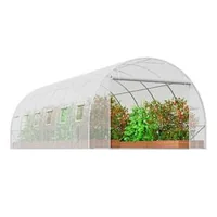 Seră-tunel-pentru-grădină-6-x-3-x-2-m-structură-galvanizată