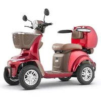 Scuter-electric-de-mobilitate-întărit-1000W-până-la-227-kg