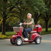 Scuter-electric-de-mobilitate-întărit-1000W-până-la-227-kg