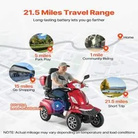 Scuter-electric-de-mobilitate-întărit-1000W-până-la-227-kg