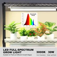 Raft-pentru-plante-cu-lămpi-LED-4-niveluri-90W-înălțime-180-cm