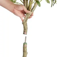 Copac-artificial-de-măslin-plantă-artificială-înaltă-de-1-8-m-material-PE-sigur-și-protecție-anti-răsturnare-plantă-cu-întreținere-redusă-copac-decorativ-fals-verde-în-ghiveci-realist