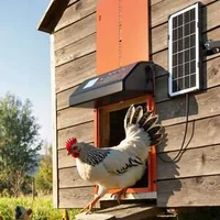 Ușă-automată-pentru-cotețul-de-găini-cu-panou-solar-temporizator-senzor-de-lumină-și-protecție-împotriva-prinderii