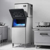 Unitate-profesională-de-producere-a-gheții-250-kg-zi-model-modular-cu-autocurățare