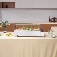 Încălzitor-electric-profesional-pentru-bufet-3-1-2