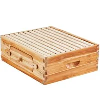 Set-pentru-stup-cu-corp-mediu-10-rame-și-ferestre-din-acril-pentru-observarea-albinelor
