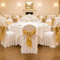 Set-de-huse-albe-pentru-scaune-30-bucăți-poliester-și-spandex