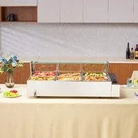 Încălzitor-electric-profesional-pentru-bufet-6-1-2-cu-paravan-de-sticlă