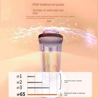 Încălzitor-electric-cu-carbon-Pettex-două-mii-W-cu-telecomandă