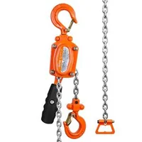Palan-manual-cu-pârghie-250-kg-lanț-G80-de-3-m