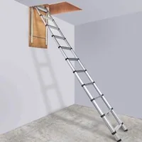 Scară-telescopică-pentru-mansardă-capacitate-160-kg-100-x-60-cm-prelungitor-multifuncțional-din-aluminiu-ușoară-și-portabilă
