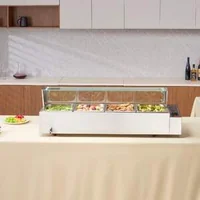 Încălzitor-electric-profesional-pentru-bufet-12-1-2