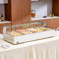 Încălzitor-electric-profesional-pentru-bufet-8-1-2-cu-paravan-de-sticlă