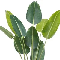 Copac-artificial-Strelitzia-152-4-cm-cu-ghiveci-polietilenă-protecție-împotriva-răsturnării