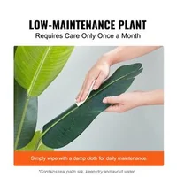 Copac-artificial-Strelitzia-152-4-cm-cu-ghiveci-polietilenă-protecție-împotriva-răsturnării