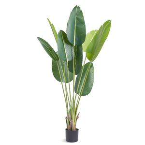 Copac-artificial-Strelitzia-152-4-cm-cu-ghiveci-polietilenă-protecție-împotriva-răsturnării
