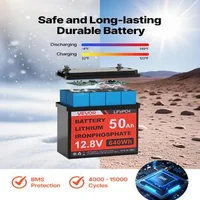 Sistem-solar-200W-12V-2-panouri-monocristaline-de-100W-baterie-LiFePO4-12-8V-50Ah-controler-40A-invertor-800W