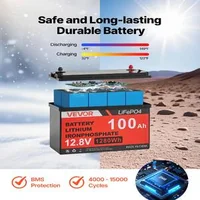 Sistem-solar-400-W-12-V-2-panouri-monocristaline-de-200-W-baterie-LiFePO4-12-8-V-100-Ah-controler-MPPT-40-A-invertor-1000-W