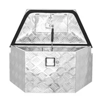 Cutie-pentru-cârlig-de-remorcă-66x33x30-5-cm-din-aluminiu-1060-argintie-deschidere-80-90-amortizoare-cu-gaz-și-încuietoare
