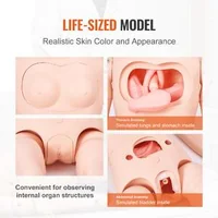 Manechin-pentru-îngrijiri-medicale-masculin-feminin-mărime-naturală-1750-x-440-x-230-mm-PVC-cu-organe-pentru-ambele-sexe-și-set-pentru-injecții