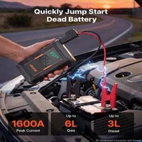 Dispozitiv-de-pornire-cu-compresor-integrat-1600A-curent-de-vârf-8000-mAh-pompă-10-3-bar-cu-oprire-automată-și-lanternă-LED