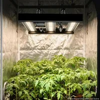 Lampă-LED-pentru-plante-200-W-spectru-complet-400-740-nm-dimabilă-pentru-cort-de-creștere-60x60-cm-carcasă-din-aluminiu-daisy-chain