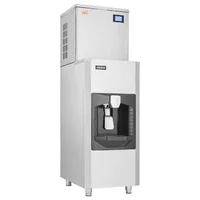 Generator-profesional-de-gheață-163-kg-24-h-cu-dozare-automată-9-kg-min-buncăr-80-kg-156-forme-panou-8-9-cm-autopurățare